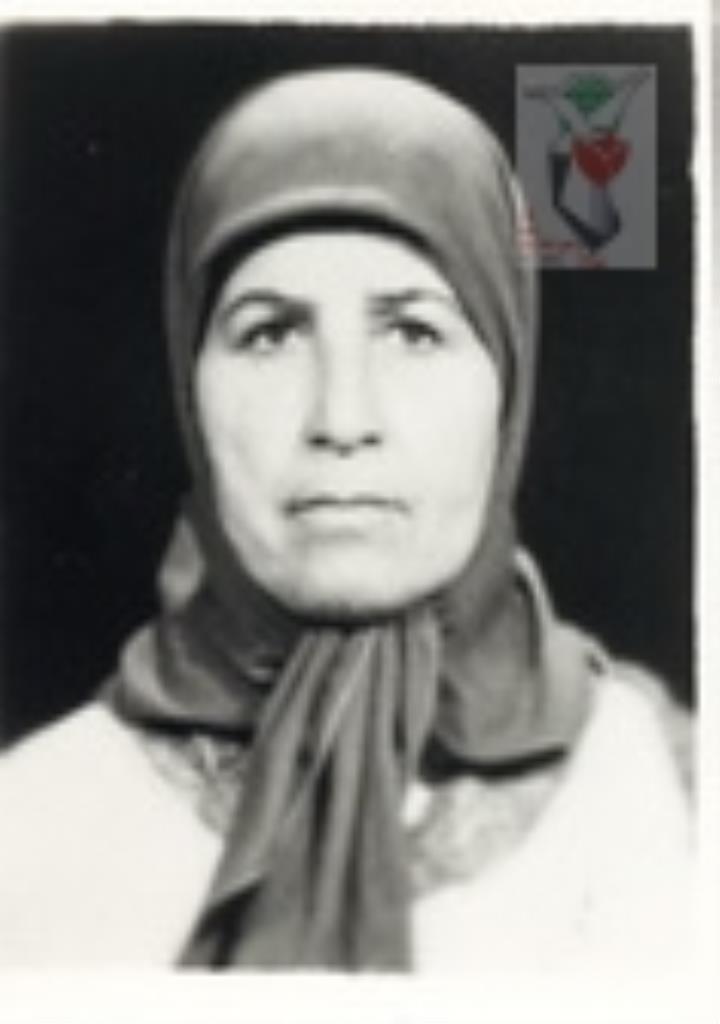فاقد تصویر